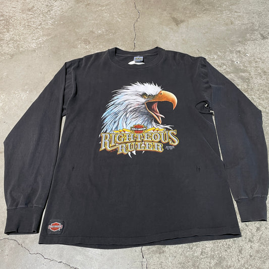 Vintage 90s 3D Emblem Harley Longsleeve